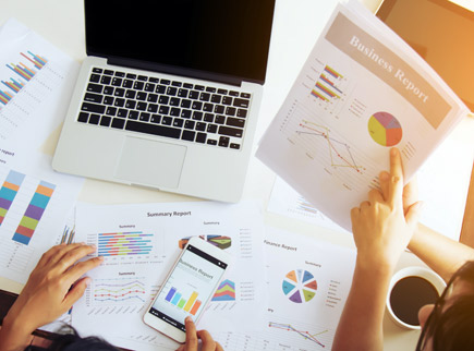 Data Conversion Services / PDFs Processing
