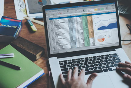 Web Extraction & Web Harvesting Services (Manual / Automated)